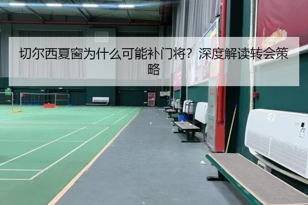 切尔西夏窗为什么可能补门将？深度解读转会策略